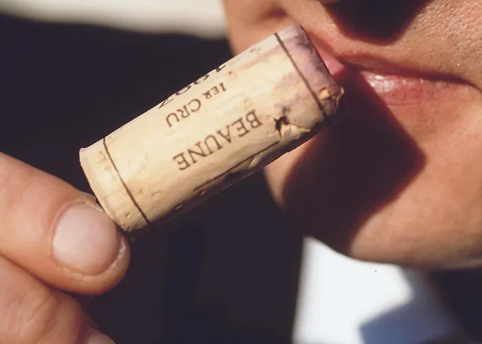 Mercure & Residenz Checkpoint Charlie Hotel