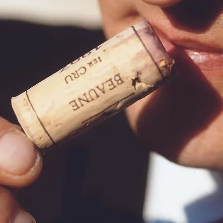 Mercure & Residenz Checkpoint Charlie Otel