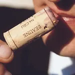 美居酒店柏灵查勒边检站店 酒店